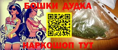 дурь Шелехов