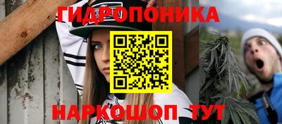 spice Шебекино