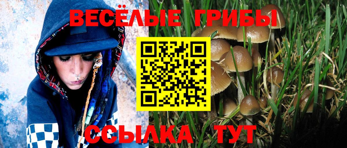 Галлюциногенные грибы прущие грибы Мичуринск
