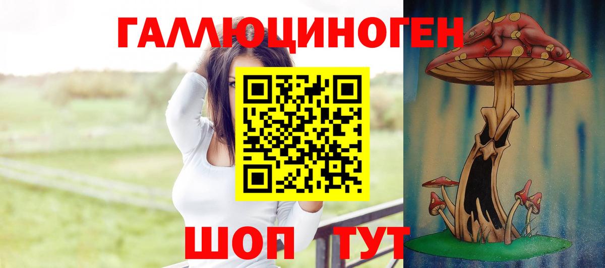 Галлюциногенные грибы GOLDEN TEACHER  Галлюциногенные грибы Psilocybine cubensis  Вход с VPN  Мичуринск 